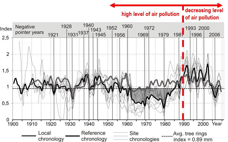 Wykres redukcji przyrostów rocznych drzew wykształconych w wyniku wyjątkowo dużego zanieczyszczenia powietrza