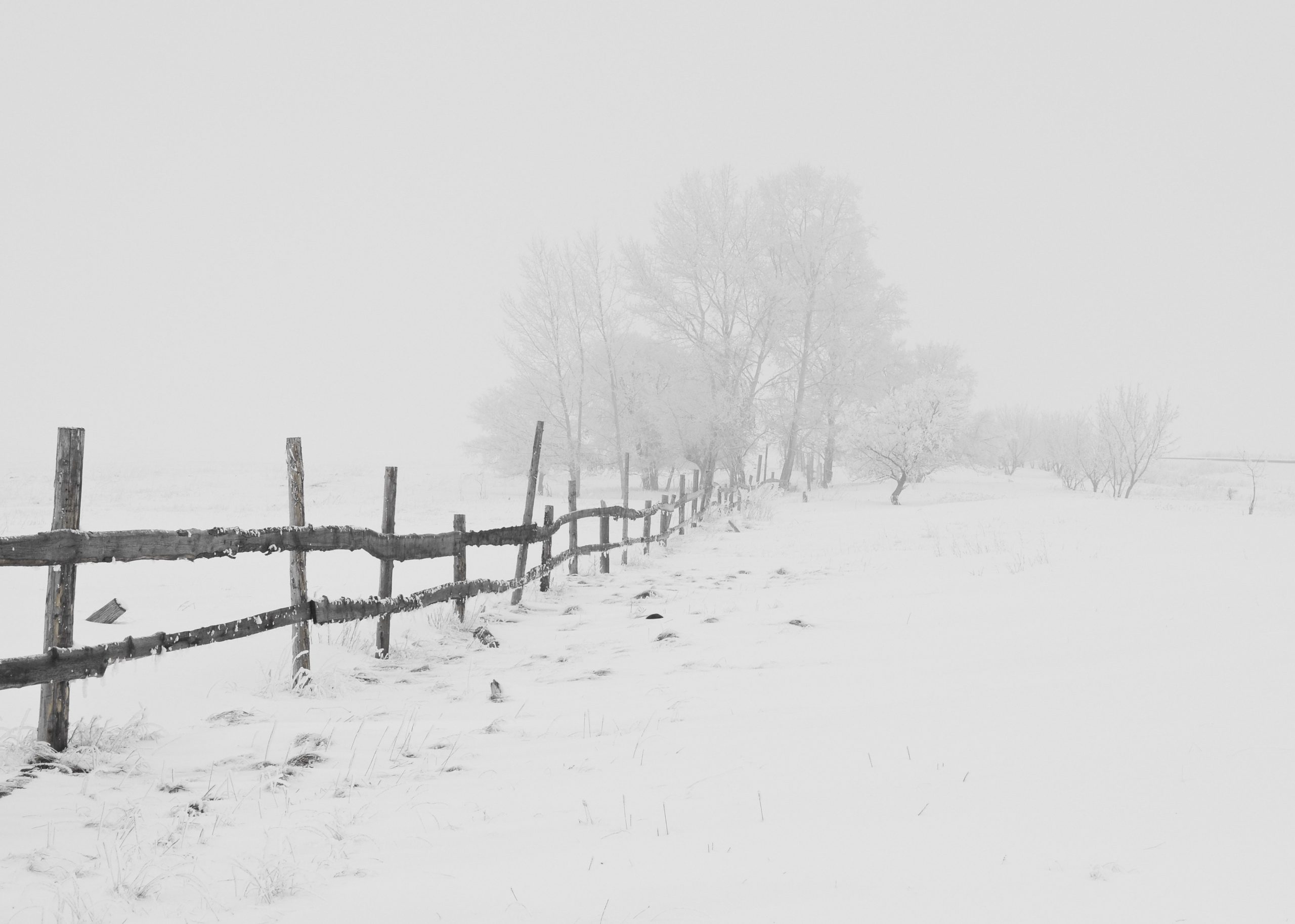 Śnieg sprzymierzeńcem w walce z suszą